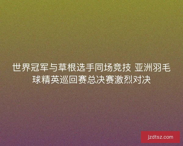 世界冠军与草根选手同场竞技 亚洲羽毛球精英巡回赛总决赛激烈对决