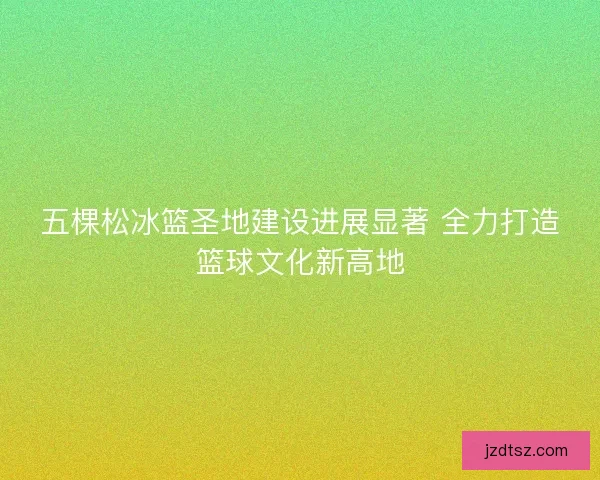 五棵松冰篮圣地建设进展显著 全力打造篮球文化新高地